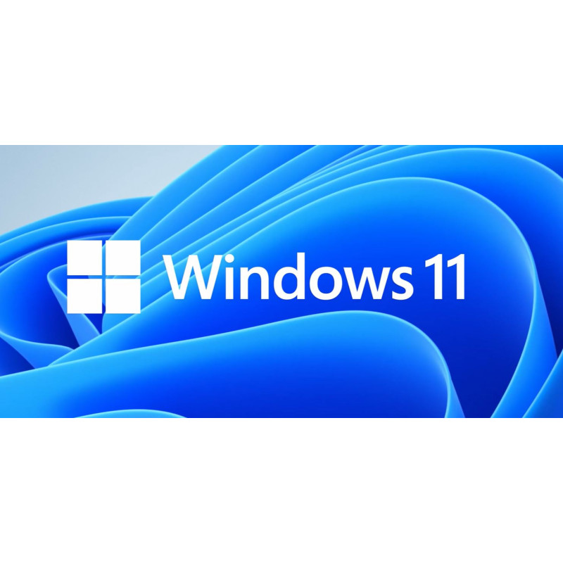 MICROSOFT - MS Windows 11 Professional 64-bit Slovak 1pk OEM DVD