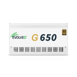 EVOLVEO G650, 650W/ ATX 3.1/ 80+ GOLD/ Modular