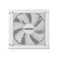 EVOLVEO G650, 650W/ ATX 3.1/ 80+ GOLD/ Modular