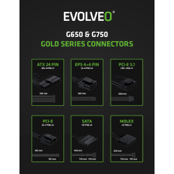 EVOLVEO G650, zdroj 650W, ATX3.1, 14cm, aPFC, 80 + GOLD, 3YRW