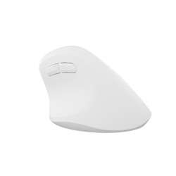 Bezdrôtová myš Natec CRAKE 2/Kancelárska/Optická/2 400 DPI/USB+BT/Biela/Vertikálna/Optická/Pre pravák