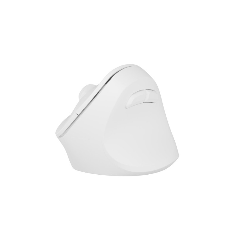Bezdrôtová myš Natec CRAKE 2/Kancelárska/Optická/2 400 DPI/USB+BT/Biela/Vertikálna/Optická/Pre pravák