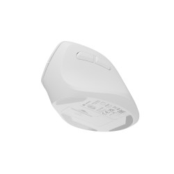 Bezdrôtová myš Natec CRAKE 2/Kancelárska/Optická/2 400 DPI/USB+BT/Biela/Vertikálna/Optická/Pre pravák