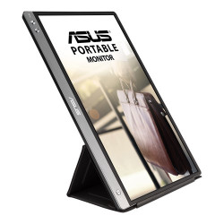 ASUS ZenScreen/MB14AC/14''/IPS/FHD/60Hz/5ms/Gray/3R