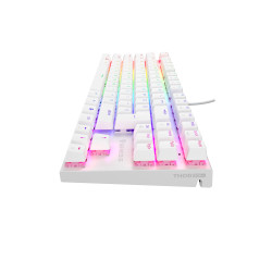 Genesis tichá herná klávesnica THOR 303/TKL/RGB/Outemu Peach Silent/Drôtová USB/US layout/Biela