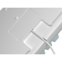 Genesis tichá herná klávesnica THOR 303/TKL/RGB/Outemu Peach Silent/Drôtová USB/US layout/Biela