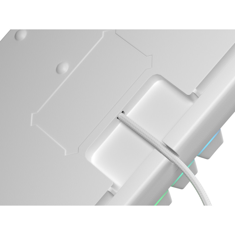 Genesis tichá herná klávesnica THOR 303/TKL/RGB/Outemu Peach Silent/Drôtová USB/US layout/Biela