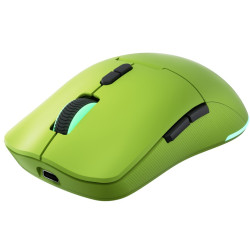 Lenovo Legion M220/Herná/Optická/Pre pravákov/5 000 DPI/USB+BT/Zelená
