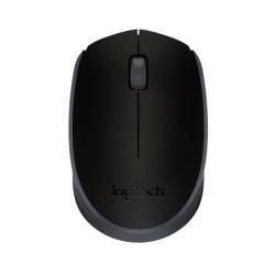 Logitech M171/Cestovná/Optická/1 000 DPI/Bezdrôtová USB/Čierna-šedá