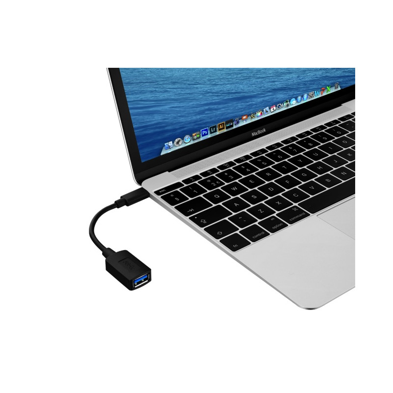 TRUST CALYX USB-C TO USB-A ADAPTER CABLE