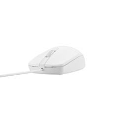 Natec optická myš RUFF 2/1 000 DPI/Kancelárska/Optická/1 000 DPI/Drôtová USB/Biela