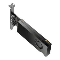 PNY NVIDIA RTX 2000 Ada Generation/16GB/GDDR6