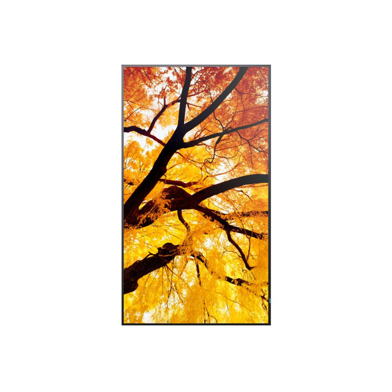 SHARP/NEC - 32'' LED NEC M322,1920x1080,IPS,24/7,450cd