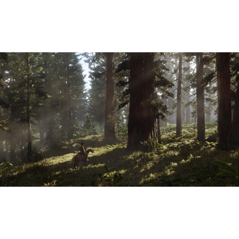 TAKE 2 - PS4 - Red Dead Redemption 2