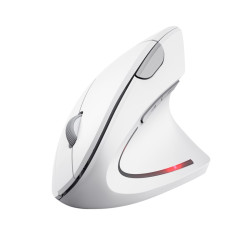 Trust Verto/Vertikálna/Optická/Pre pravákov/1 600 DPI/Bezdrôtová USB/Biela