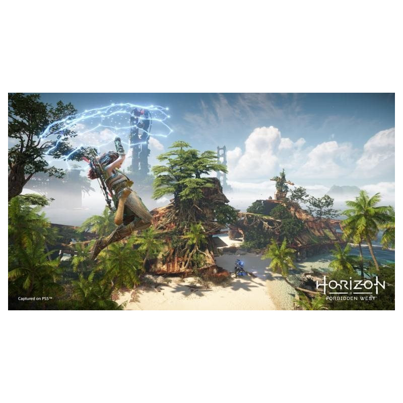 SONY PLAYSTATION - PS5 - Horizon Forbidden West