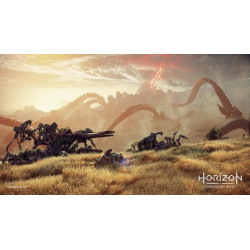 SONY PLAYSTATION - PS5 - Horizon Forbidden West