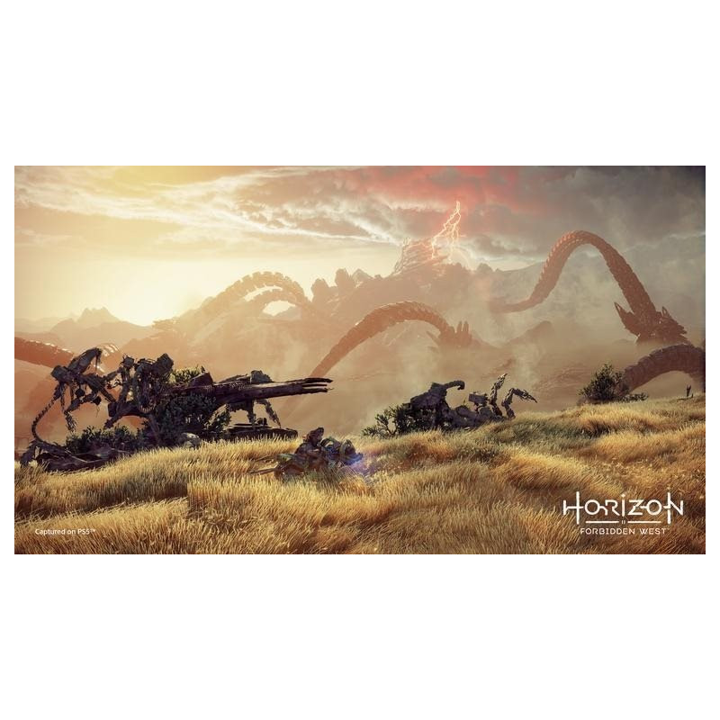 SONY PLAYSTATION - PS5 - Horizon Forbidden West
