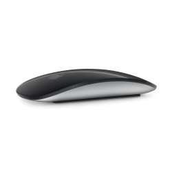APPLE - Magic Mouse - Black Multi-Touch Surface
