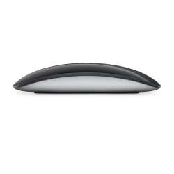 APPLE - Magic Mouse - Black Multi-Touch Surface