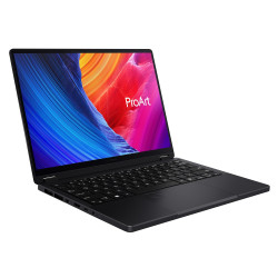 ASUS ProArt PX13/HN7306EA-OLED004XZ/AIMAXPLUS-395/13,3''/2880x1800/T/64GB/1TB/AMD int/W11P/Black/2R