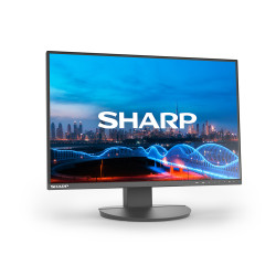 SHARP/NEC - NEC Sharp MultiSync/EA241W/24''/IPS/FHD/60Hz/5ms/Čierna/3R