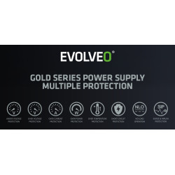 EVOLVEO G750,750W,ATX3.1,14cm,aPFC,80+GOLD,3YRW