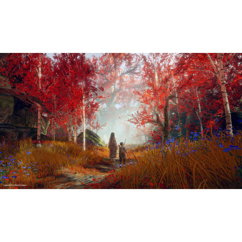 SONY PLAYSTATION - PS4 - HITS God of War