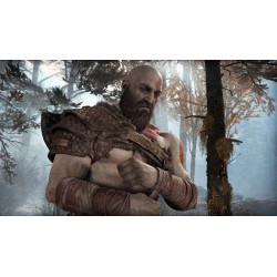 SONY PLAYSTATION - PS4 - HITS God of War
