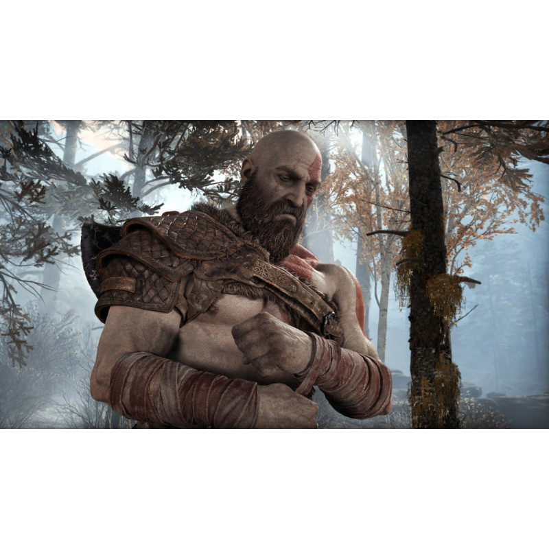 SONY PLAYSTATION - PS4 - HITS God of War