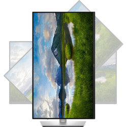 Dell Pro Plus/P2425D/23,8''/IPS/QHD/100Hz/5ms/Blck-Slvr/3R