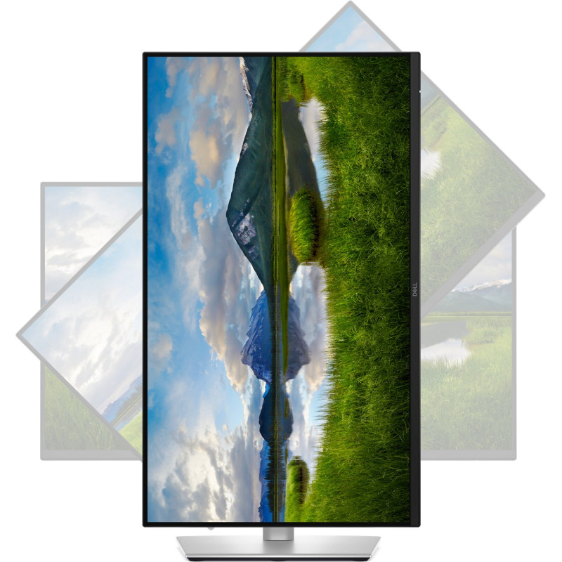 Dell Pro Plus/P2425D/23,8''/IPS/QHD/100Hz/5ms/Blck-Slvr/3R