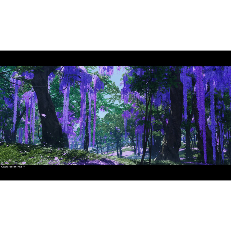 SONY PLAYSTATION - PS5 - Ghost of Tsushima Director's Cut - Remaster