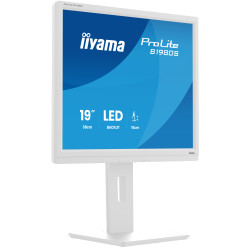 iiyama ProLite/B1980S-W1/19''/TN/1280x1024/75Hz/3ms/White/3R