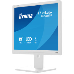 iiyama ProLite/B1980S-W1/19''/TN/1280x1024/75Hz/3ms/White/3R