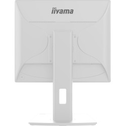 iiyama ProLite/B1980S-W1/19''/TN/1280x1024/75Hz/3ms/White/3R
