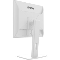 iiyama ProLite/B1980S-W1/19''/TN/1280x1024/75Hz/3ms/White/3R