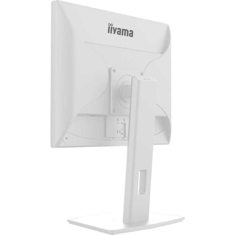 iiyama ProLite/B1980S-W1/19''/TN/1280x1024/75Hz/3ms/White/3R