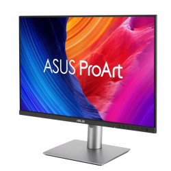 24'' LCD ASUS PA248QFV