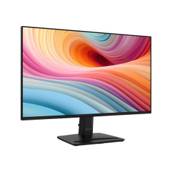 MSI Pro/MP252 E2/24,5''/IPS/FHD/120Hz/1ms/Black/2R