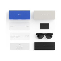 GOOGLE - Meta Fury, Classic Black/Clear to Grey Transitions