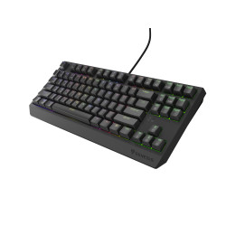 Genesis herná klávesnica THOR 230/TKL/RGB/Outemu Red/Drôtová USB/US layout/Čierna