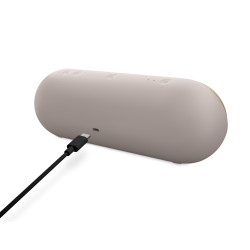 APPLE - Beats Pill/Champagne Gold
