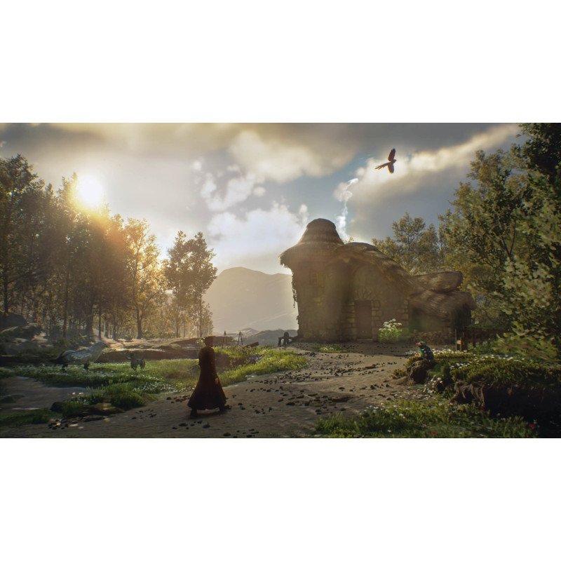 WARNER BROS - PS4 - Hogwarts Legacy