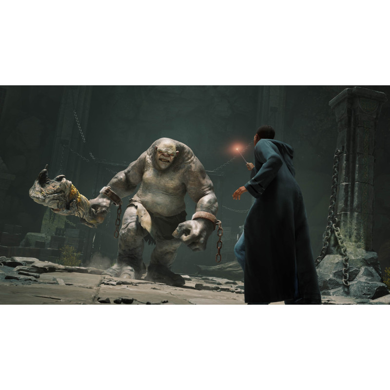 WARNER BROS - PS4 - Hogwarts Legacy