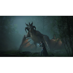 WARNER BROS - PS4 - Hogwarts Legacy