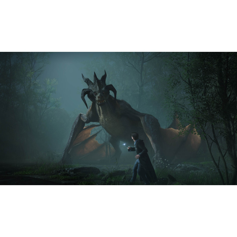 WARNER BROS - PS4 - Hogwarts Legacy