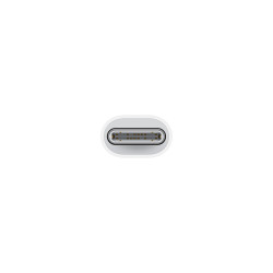 APPLE - USB-C to Lightning Adapter / SK