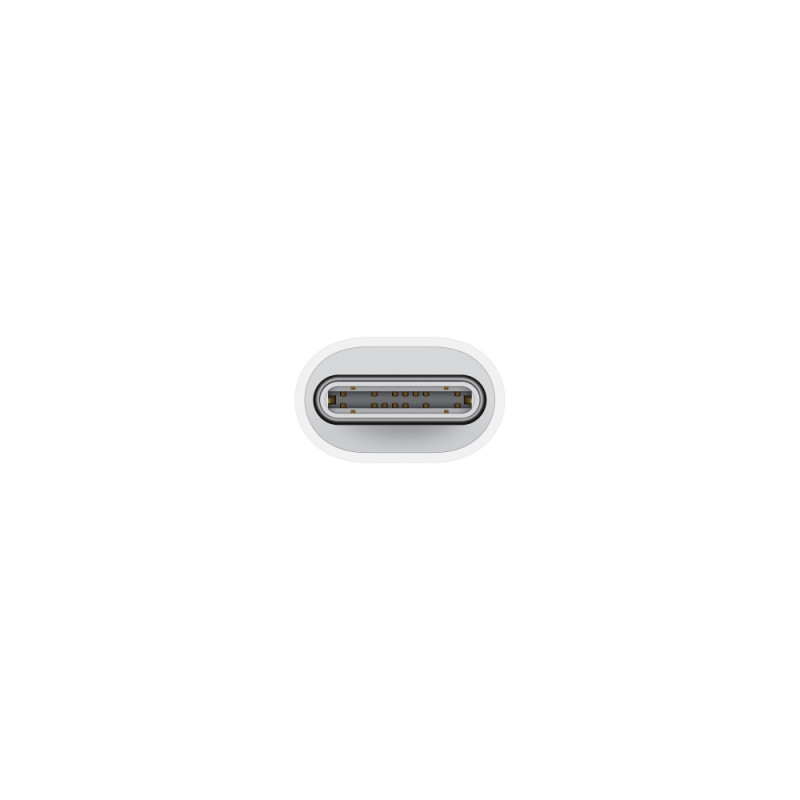 APPLE - USB-C to Lightning Adapter / SK