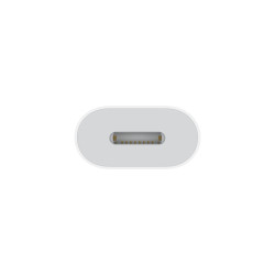 APPLE - USB-C to Lightning Adapter / SK